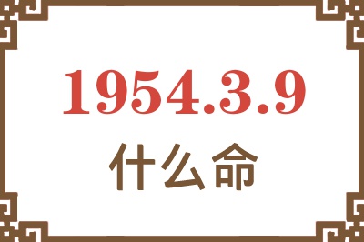 1954年3月9日出生是什么命？