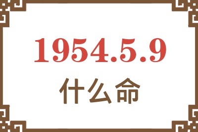 1954年5月9日出生是什么命？