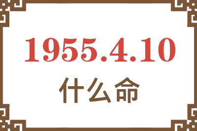 1955年4月10日出生是什么命？