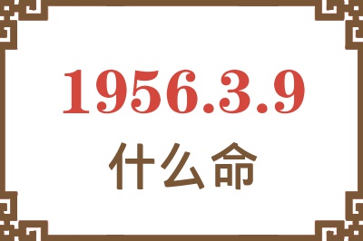 1956年3月9日出生是什么命？