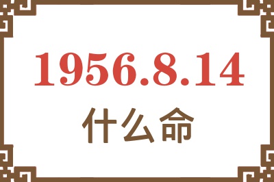 1956年8月14日出生是什么命？