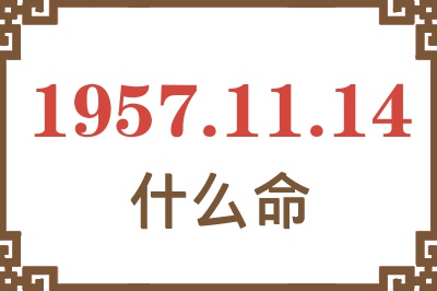 1957年11月14日出生是什么命？