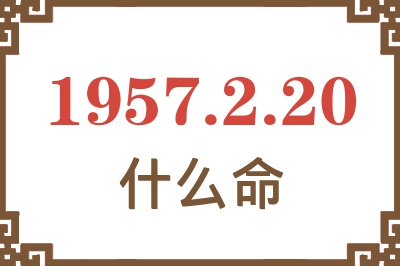 1957年2月20日出生是什么命？