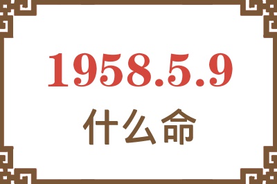 1958年5月9日出生是什么命？