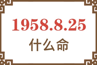 1958年8月25日出生是什么命？