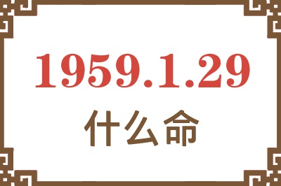 1959年1月29日出生是什么命？