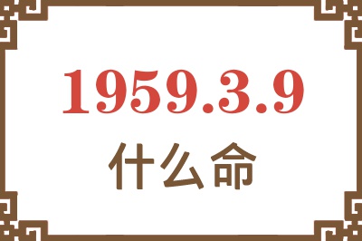 1959年3月9日出生是什么命？