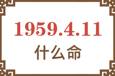 1959年4月11日出生是什么命？