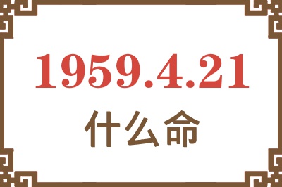 1959年4月21日出生是什么命？