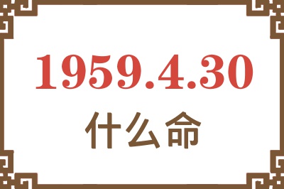 1959年4月30日出生是什么命？