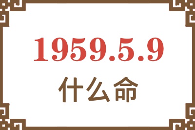 1959年5月9日出生是什么命？