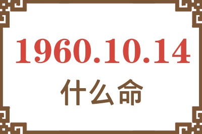 1960年10月14日出生是什么命？