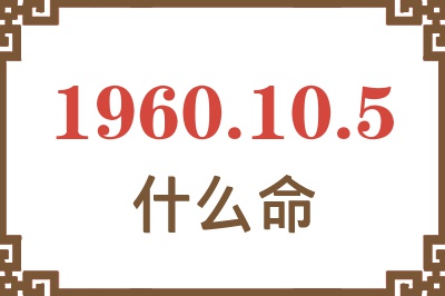 1960年10月5日出生是什么命？