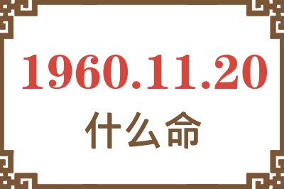 1960年11月20日出生是什么命？