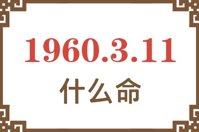 1960年3月11日出生是什么命？