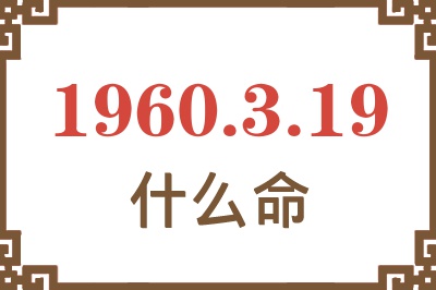 1960年3月19日出生是什么命？