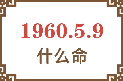 1960年5月9日出生是什么命？