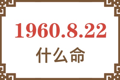 1960年8月22日出生是什么命？