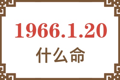 1966年1月20日出生是什么命？