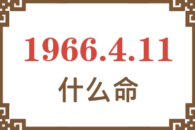 1966年4月11日出生是什么命？