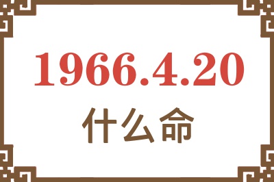 1966年4月20日出生是什么命？