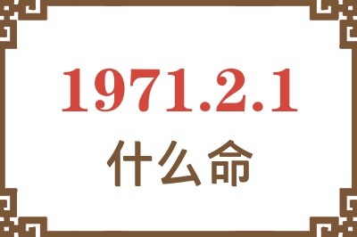 1971年2月1日出生是什么命？