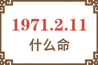 1971年2月11日出生是什么命？