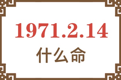 1971年2月14日出生是什么命？