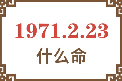 1971年2月23日出生是什么命？