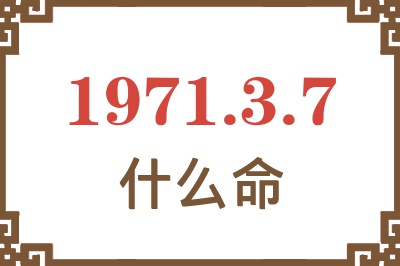 1971年3月7日出生是什么命？