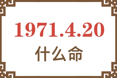 1971年4月20日出生是什么命？