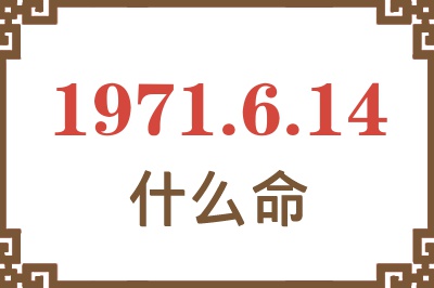 1971年6月14日出生是什么命？