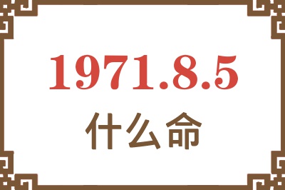 1971年8月5日出生是什么命？