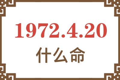 1972年4月20日出生是什么命？