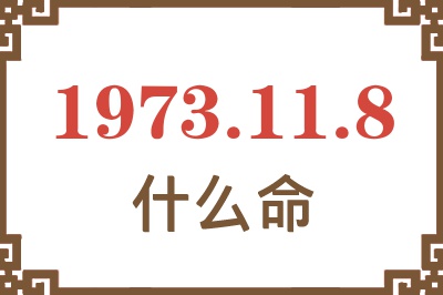 1973年11月8日出生是什么命？