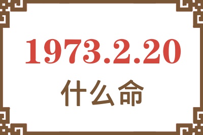 1973年2月20日出生是什么命？