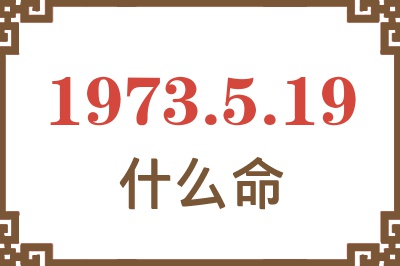 1973年5月19日出生是什么命？