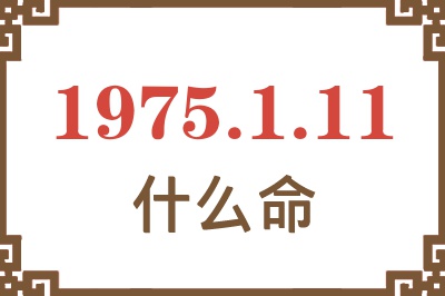 1975年1月11日出生是什么命？