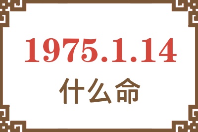 1975年1月14日出生是什么命？