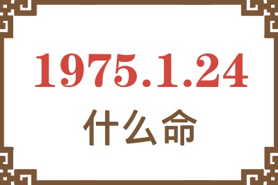 1975年1月24日出生是什么命？