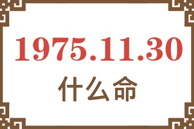 1975年11月30日出生是什么命？