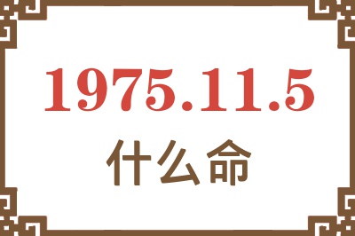 1975年11月5日出生是什么命？