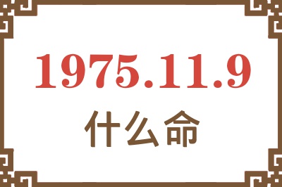 1975年11月9日出生是什么命？