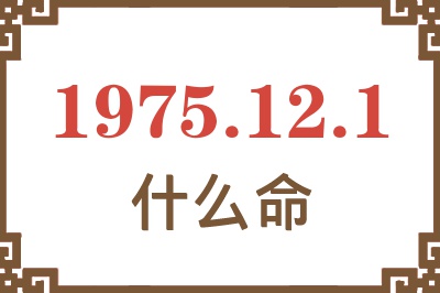 1975年12月1日出生是什么命？