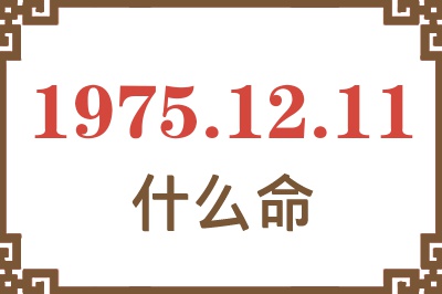 1975年12月11日出生是什么命？