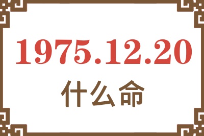 1975年12月20日出生是什么命？