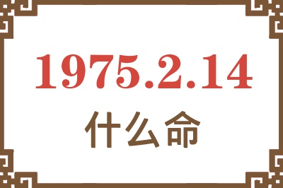 1975年2月14日出生是什么命？