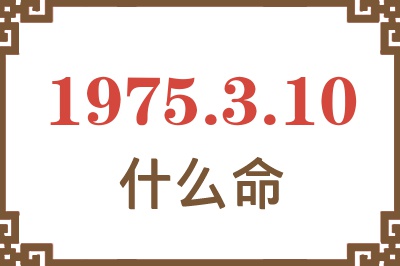 1975年3月10日出生是什么命？