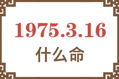 1975年3月16日出生是什么命？