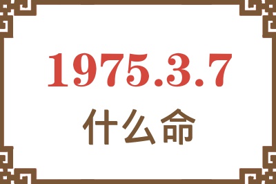 1975年3月7日出生是什么命？